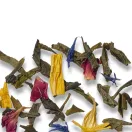 Althaus Grün Matinee zöld tea - Grand Pack, 15 × 4 g